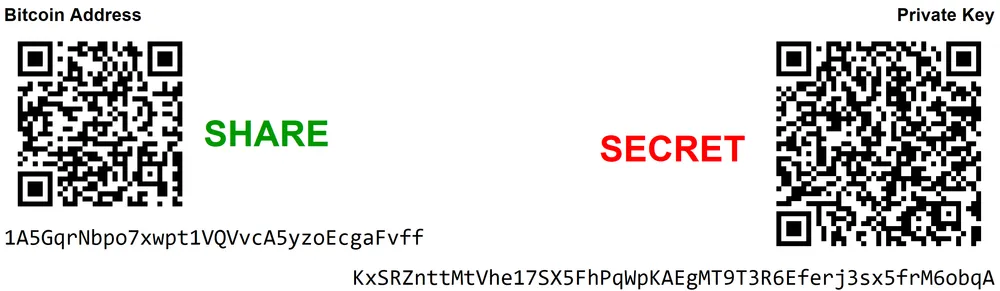 A Bitcoin wallet address (shareable) vs a private key (must stay secret)
