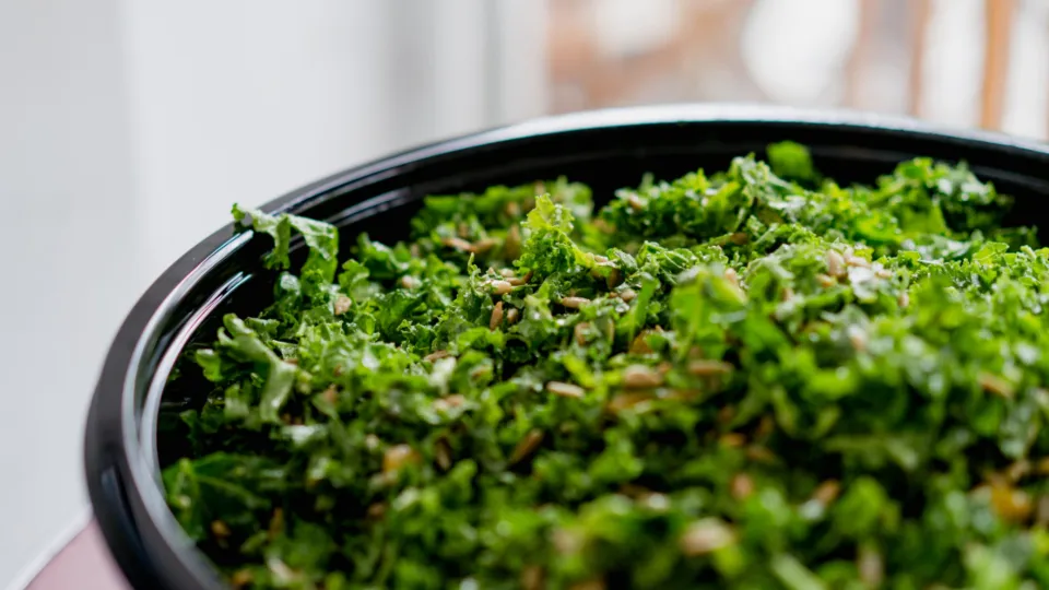 A plate of colorful fresh salad — a light meal that fits the eating window