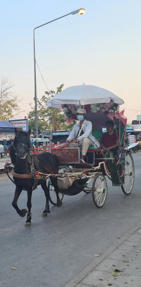 Lampang horse carriage