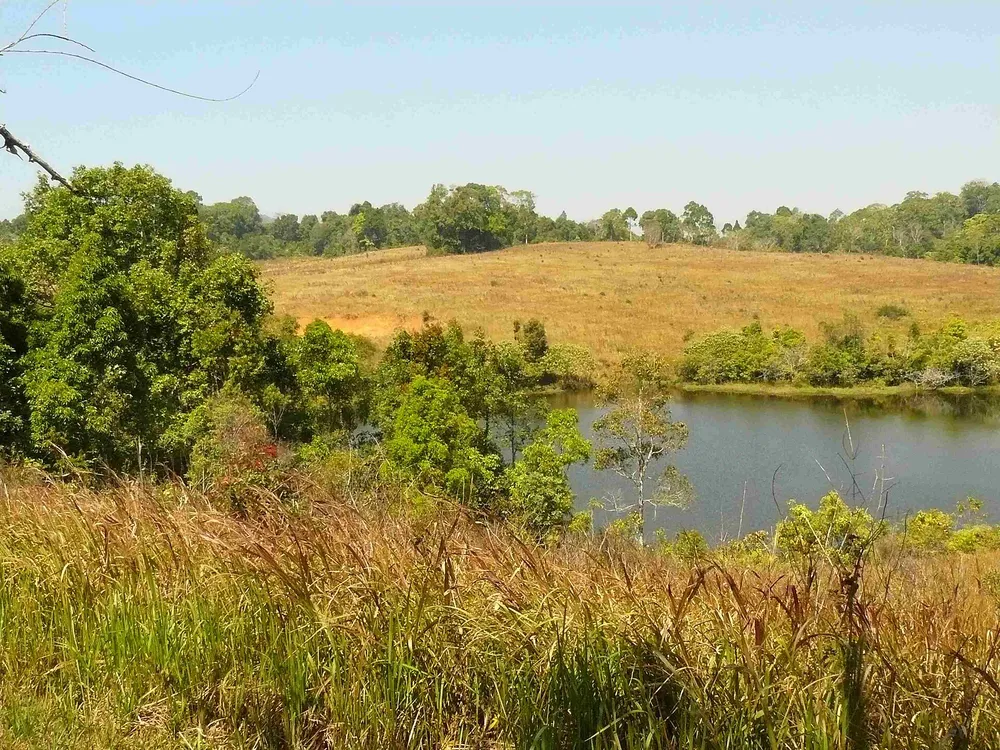 Khao Yai National Park landscape, the popular destination reached via the M6 motorway