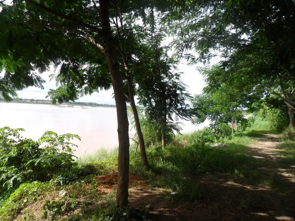 ทัศนียภาพริมแม่น้ำโขงในจังหวัดหนองคาย บรรยากาศแบบหมู่บ้านชนบทที่เป็นจุดชมบั้งไฟพญานาคทั่วไป