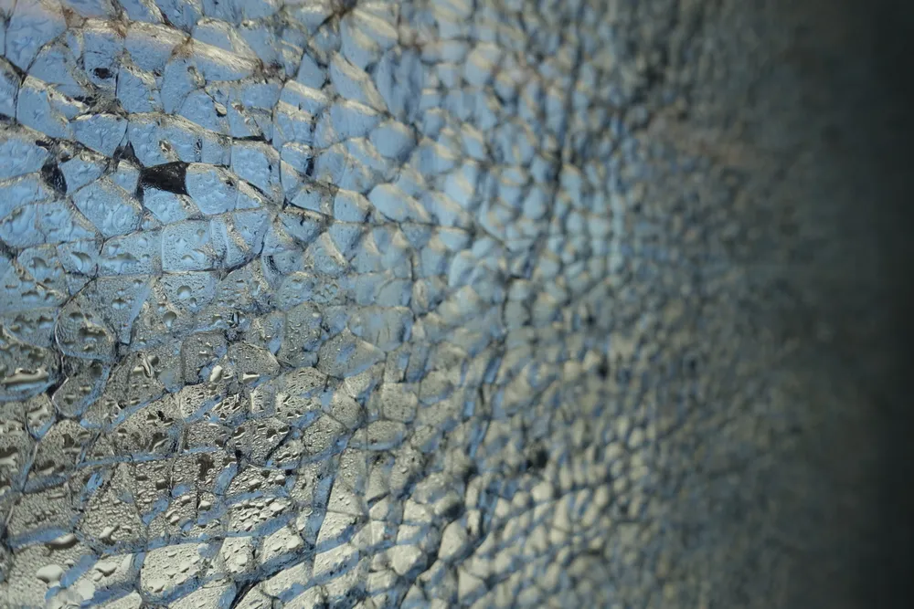 Close-up macro shot showing fine surface detail — an example of macro-style photography (illustrative photo)