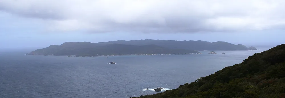 ทิวทัศน์เกาะเวนัวโฮอู (ก็อดฟิชไอส์แลนด์) หนึ่งในเขตอนุรักษ์ปลอดผู้ล่าของกากาโป้